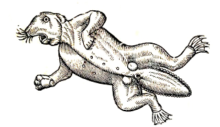 Illustration for article titled How Europeans Imagined Exotic Animals Centuries Ago, Based on Hearsay